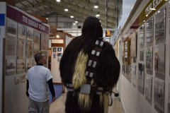 Andy escorting Wookiee