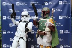 IMG_3506.jpeg
