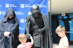 IMG_3568.jpeg